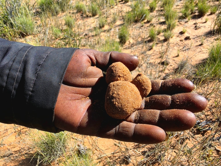 Commercial Property for Sale in Upington Rural Northern Cape